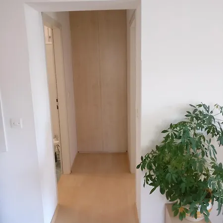Obiteljska Kuca Silva Apartman